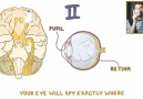 Osmosis - Cranial Nerves Music Video Big Brains Matter More Facebook