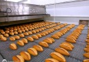 Otomatik Ekmek Üretim HattıKaynak Özköseoğlu Oven