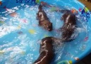 Otter pool party