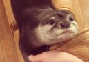 Our heart is getting connected through touching handsBy ottergonta IG