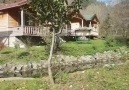Öykü&Günler - Yüzünüzden gülümsemeninKalbinizden...