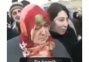 Öyle öküz gibi bakıyor camış