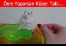 Öyle yaparsan küser tabi..