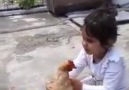 Oyuncak bebek yoksa tavuk var... )