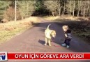 Oyun için vakit yaratmak