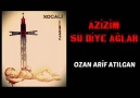 OZAN ARİF ATILGAN - TÜRKİSTAN