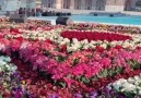 Özbekistanhaber - Registan Meydanı