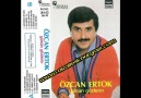 Özcan Ertok - Göçmen Kuşlar