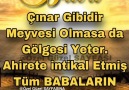 Özel Güzel - AMİNÖncelikle &Hakkın Rahmetine...