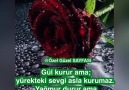 Özel Güzel - Dostluk unutulmayacak kadar güzel ender...