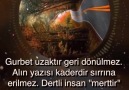 Özel Güzel - Gurbet uzaktır geri dönülmez. Alın yazısı...