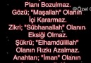 Özel Güzel - min