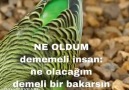 Özel Güzel - NE OLDUM dememeli insan ne olacağım demeli...