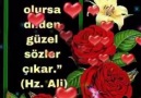 Özel Güzel - Özel Güzel SAYFASI