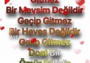 Özel Güzel - ("""")* Dostlarım *..**)az...