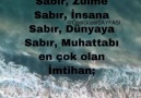 Özel Güzel - Üç şeyi kötü günlerinde dene eşini dostunu...