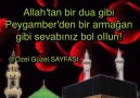 Özel Güzel - (v)()HAYIRLI CUMLAR...