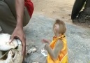 Page trailler - Wow Cute Baby Monkey Wants Coconut Juice Facebook