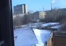 Pájaro divirtiéndose en la nieve