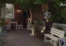Panda and Hedgehog-9.bölüm/part 3