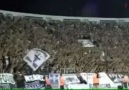 Paok Tribunu Hassktr Fenerbahce