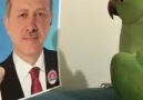 Papağanın Erdoğan sevgisi