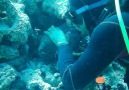 Papai divers - kissing morena Facebook