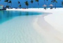 Paradise on earth Maldives