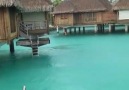Paradise Tiki Huts in Bora Bora