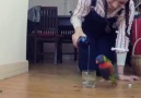 parrot dancing