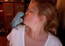 Parrot talking laughing and playing peekaboo Credit storyful