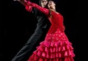 PASO DOBLE <3 <3