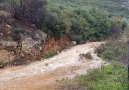 Patara under rain