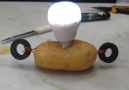 Patates Gerçek Enerji Kaynağı