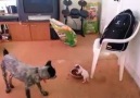 Paylaşmak zorunda mıyım?! :)'