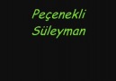 Peçenekli Süleyman_Suda Balık ♫''мя Ç į Ķ į η''♫