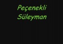 Peçenekli Süleyman_Suda Balık ♫''мя Ç į Ķ į η''♫