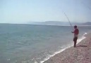 peche surfcasting