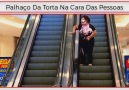 PEGADINHA Torta na cara.Curta Portal do Humor D