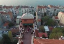 Pelin Ugur - İzmir Sarmaşığı Selluka Facebook