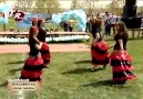 Pembe Şalvar Roman Havası ( Bulgaristan Kızları )