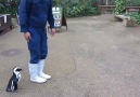 Penguenin dehşet veren saldırısı ( 18) :)
