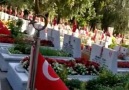 Perdeyi araladığınızda Güneşi... - Şehadete Koşanlar