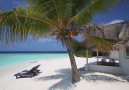 Perfect Beach Bungalow in Maldives