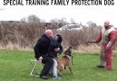 Personal - family protection dog trainingCredit K9 LENIN