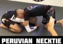 Peruvian Necktie Choke to Armbar - Kimonos Brazilian Jiu Jitsu