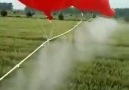 Pesticide Spray With Helium Balloons