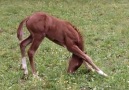 Petit yoga du matin