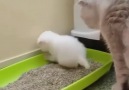 Pets - Being a mother for the first time so hard Facebook