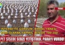 PET ŞİŞEDE SEBZE YETİŞTİRDİ PARAYI VURDU!